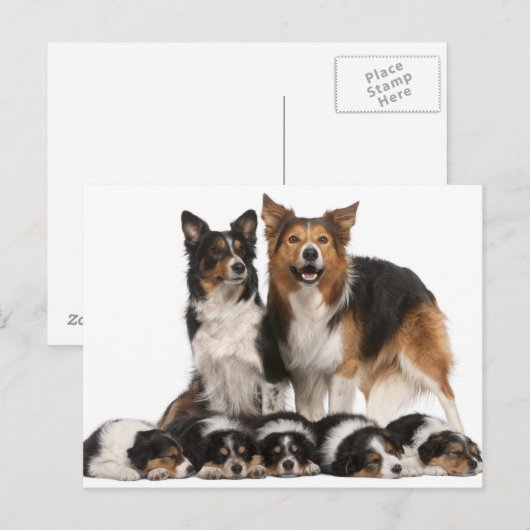 縁ど家族 ポストカード (正面/裏面)