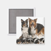 縁ど家族 マグネット (正面/裏面)