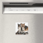 縁ど家族 マグネット (インサイチュ (食洗機))