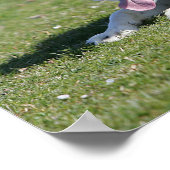 縁ど寝るコリー ポスター (角)