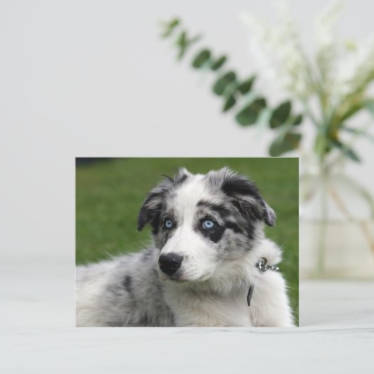 縁ど寝 ポストカード (スタンド正面)