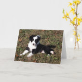 縁ど犬ポートレート空白のグリーティングカード カード (黄色い花)