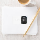 縁ど犬顔 ラベル (インサイチュ)