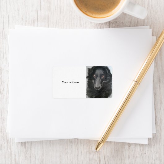 縁ど犬顔 ラベル (インサイチュ)