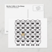 縁ど羊の中の子 ポストカード (正面/裏面)