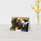 縁ど英語のマスチフの耳で鼻と衝突する カード (黄色い花)