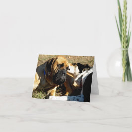 縁ど英語のマスチフの耳で鼻と衝突する カード