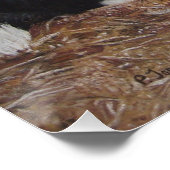 縁ど鶏の芸で流された丸太のコリー犬 ポスター (コーナー)