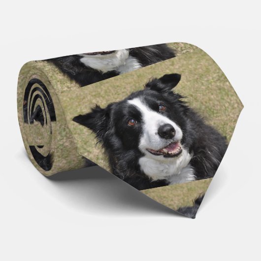 縁ど ネクタイ (ロール)