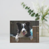 縁ど ポストカード (スタンド正面)