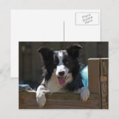 縁ど ポストカード (正面/裏面)