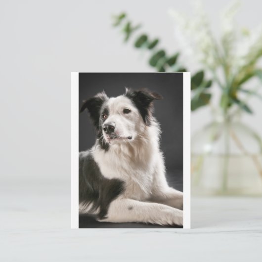 縁ど ポストカード (スタンド正面)