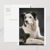 縁ど ポストカード (正面/裏面)