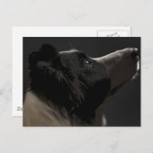 縁ど ポストカード (正面/裏面)