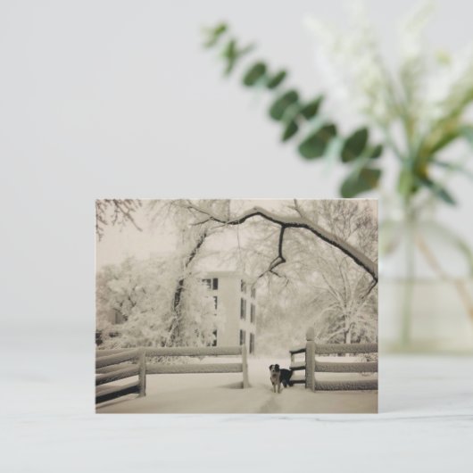 縁ど ポストカード (スタンド正面)