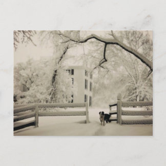 縁ど ポストカード