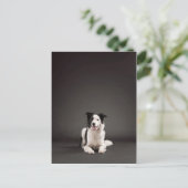 縁ど ポストカード (スタンド正面)