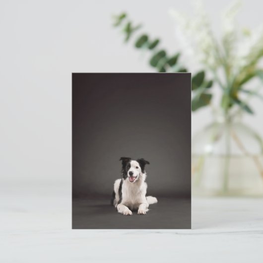 縁ど ポストカード (スタンド正面)