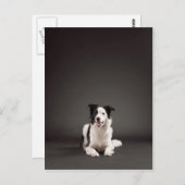 縁ど ポストカード (正面/裏面)