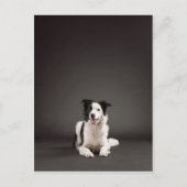 縁ど ポストカード (正面)