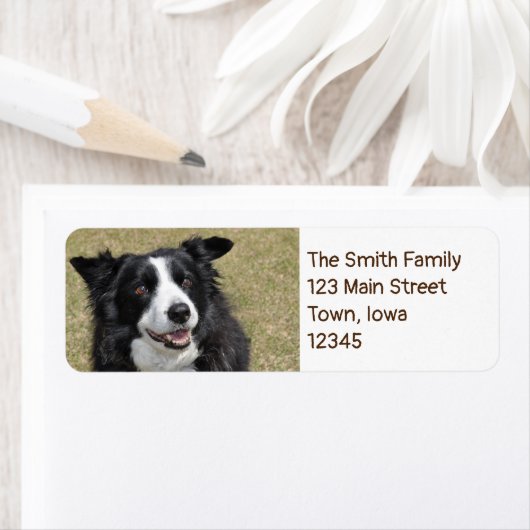 縁ど ラベル (インサイチュ)