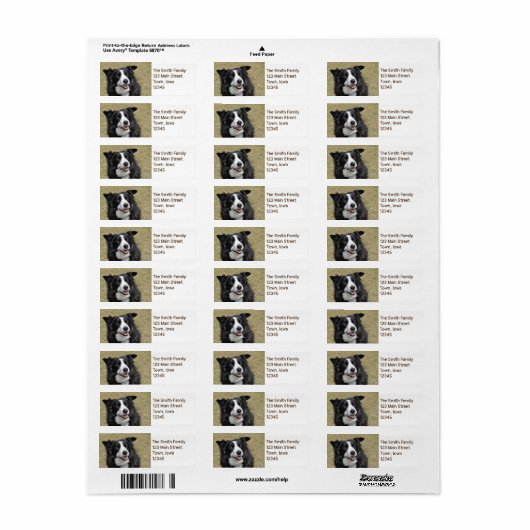 縁ど ラベル (フルシート)