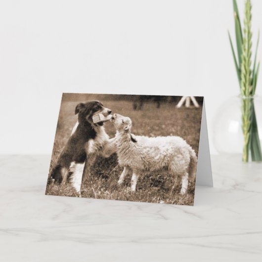 縁どCollieとLamb～Photo Card カード (正面)