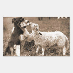 「縁どCollie and Lamb」~ステッカー 長方形シール
