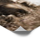 「縁どCollie and Lamb」～縁どCollie Poster ポスター (角)