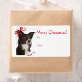 縁どCollie Christmas Gift Stickers ラベル (インサイチュ)