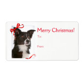 縁どCollie Christmas Gift Stickers ラベル (正面)