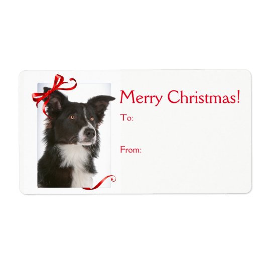 縁どCollie Christmas Gift Stickers ラベル (正面)
