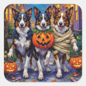 縁どCollie Dogs Trick-or-Treating in Halloween スクエアシール (正面)