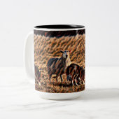 縁どCollie Herding Sheep "保持独身の" ツートーンマグカップ (正面左)