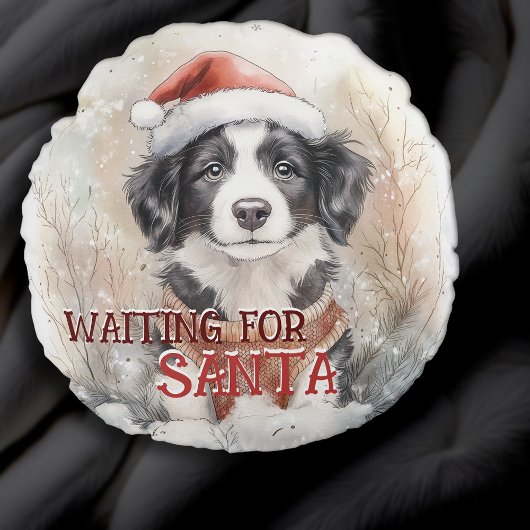 縁どCollie Waiting For Santa Dog Water ラウンドクッション