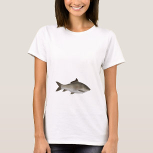 縁付きのペニンシュラコイ Tシャツ