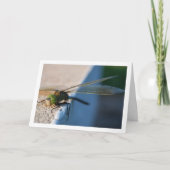 縁台のトンボ カード (正面)