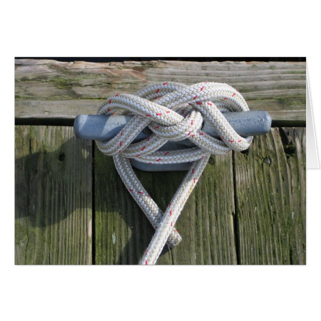 縛ろう！ (正面横)