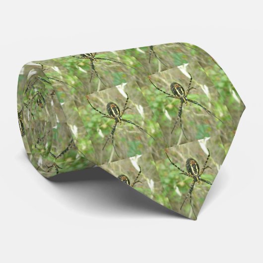 縞模様のアギオペ ネクタイ (ロール)