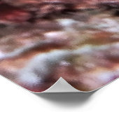 縞模様のエビのゴビー ポスター (角)