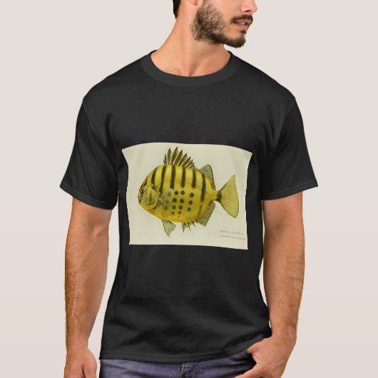 縞模様のバタフライフィッシュ Tシャツ (正面)