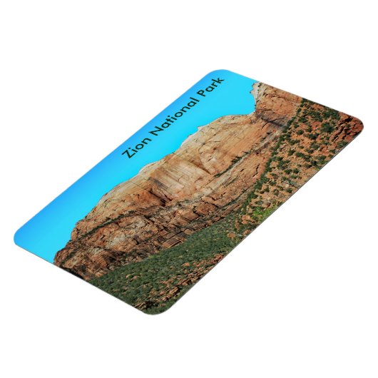 縞模様の壁と蜂の巣磁石 マグネット (左側)