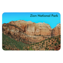 縞模様の壁と蜂の巣磁石 マグネット