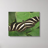 縞模様の蝶のキャンバス印刷 キャンバスプリント (正面)