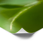 縞模様の蝶 ポスター (コーナー)