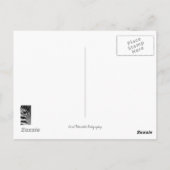 縞模様 ポストカード (裏面)