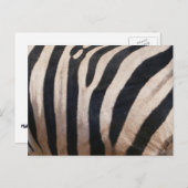 縞模様(白黒) ポストカード (正面/裏面)