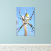 縞模様Argiope Orb Weaver - Argiope trifasciata キャンバスプリント (インサイチュ (ウッドフロア))