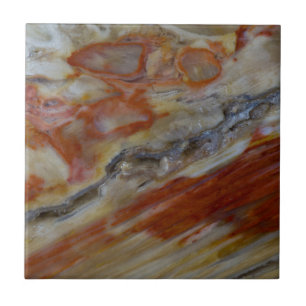 縞状の珪化木 タイル