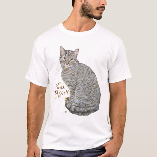縞猫とインコ? Tシャツ (正面)